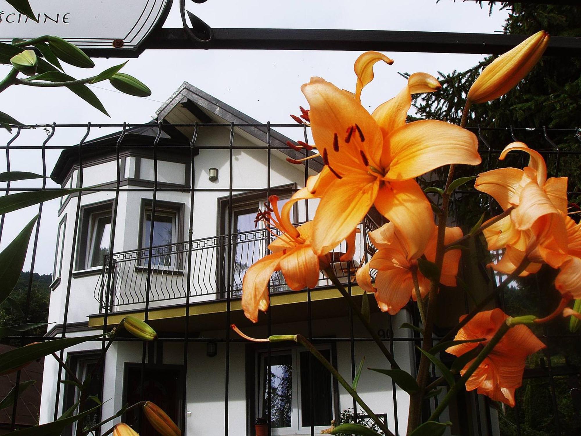 Villa Hasaba Krościenko Exterior foto